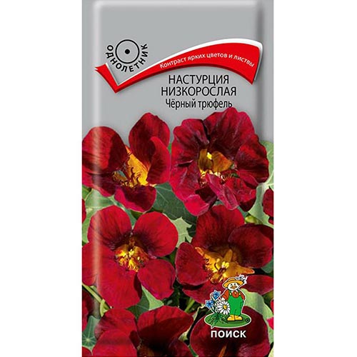 Настурция Черный трюфель Поиск изображение 1 артикул 93069
