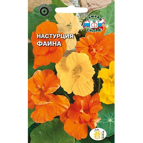 Настурция Фаина, смесь окрасок Седек изображение 1 артикул 93912