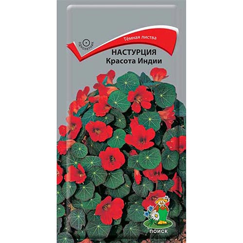 Настурция Красота Индии Поиск изображение 1 артикул 93064