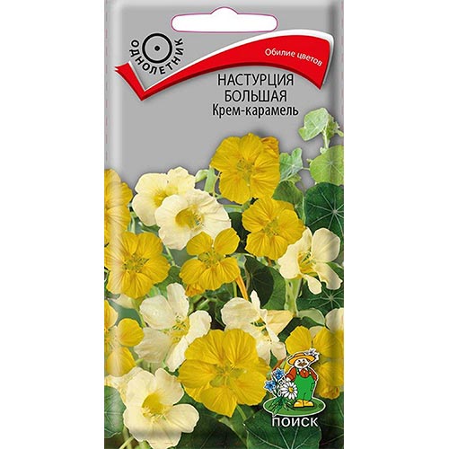 Настурция Крем-карамель, смесь окрасок Поиск изображение 1 артикул 93065