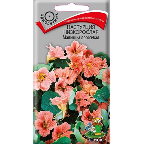 Настурция Малышка лососевая Поиск изображение 1 артикул 93067