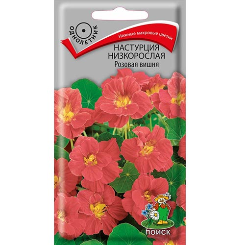 Настурция Розовая вишня Поиск изображение 1 артикул 93068