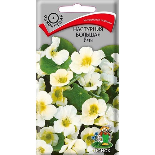 Настурция Йети Поиск изображение 1 артикул 93063