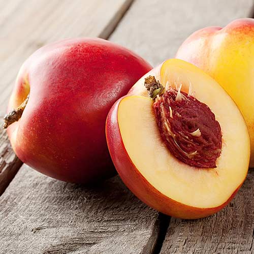 Нектарин Свит Леди изображение 1 артикул 4212