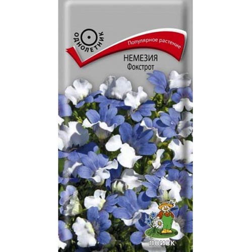 Немезия Фокстрот, смесь окрасок Поиск изображение 1 артикул 93072