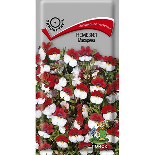 Немезия Макарена Поиск изображение 1 артикул 93070
