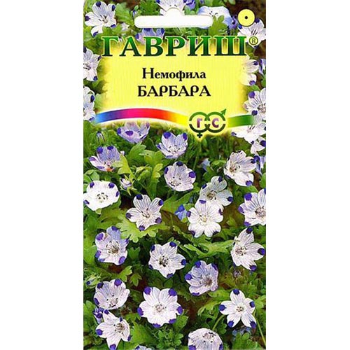 Немофила Барбара Гавриш изображение 1 артикул 92179