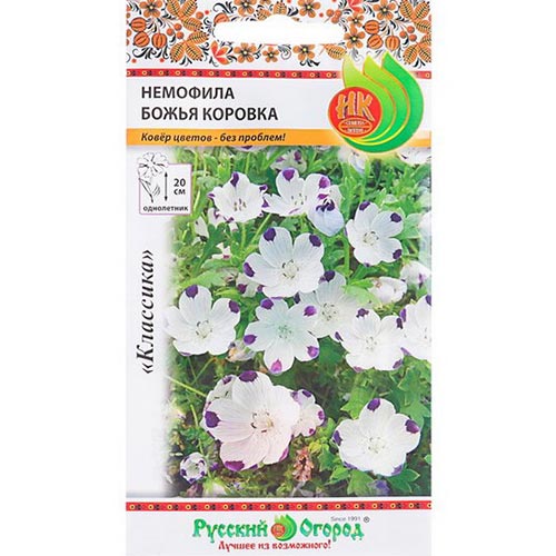 Немофила Божья коровка НК изображение 1 артикул 92592