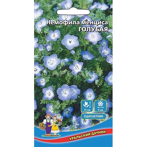 Немофила Голубая Уральский дачник изображение 1 артикул 94835