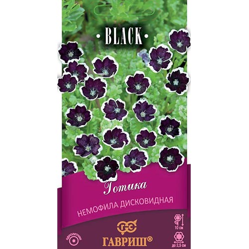 Немофила Готика Гавриш изображение 1 артикул 92180