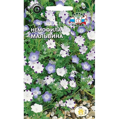 Немофила Мальвина, смесь окрасок Седек изображение 1 артикул 93916