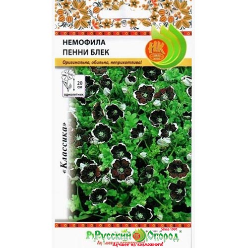 Немофила Пенни блек НК изображение 1 артикул 92593