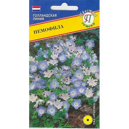 Немофила Престиж изображение 1 артикул 84508