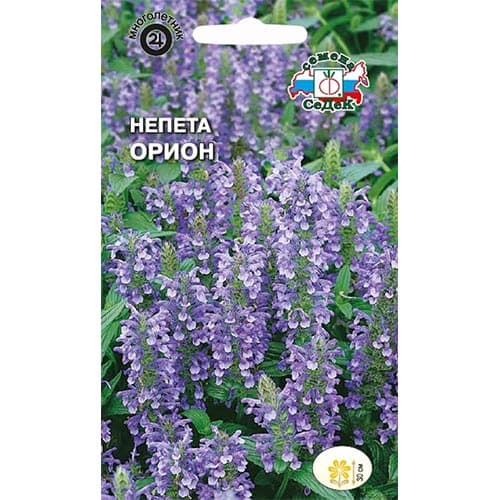 Непета Орион Седек изображение 1 артикул 93917