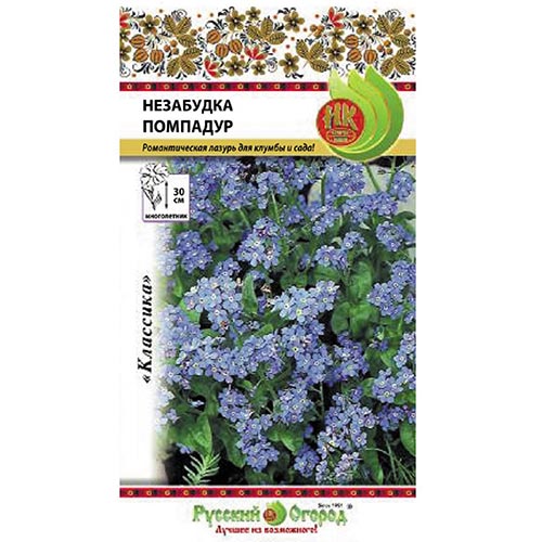 Незабудка Помпадур НК изображение 1 артикул 92588