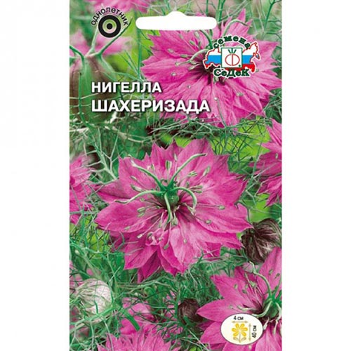 Нигелла дамасская Шахеризада Седек изображение 1 артикул 93927