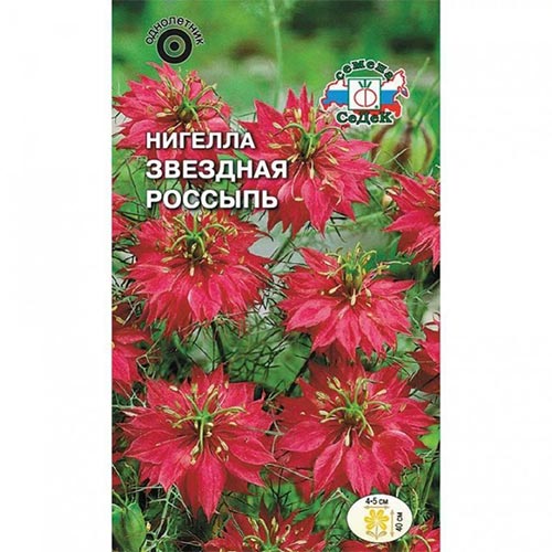 Нигелла дамасская Звездная россыпь Седек изображение 1 артикул 93924