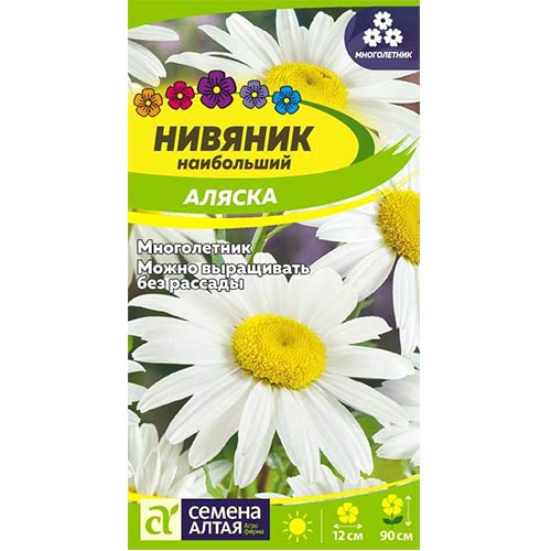 Нивяник Аляска Семена Алтая артикул фото 1 Нивяник Аляска Семена Алтая изображение 1 артикул 81700