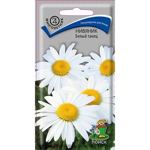 Нивяник Белый танец Поиск изображение 1 артикул 93073