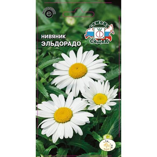 Нивяник Эльдорадо Седек изображение 1 артикул 93922