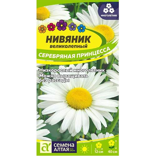 Нивяник Серебряная Принцесса Семена Алтая изображение 1 артикул 78206