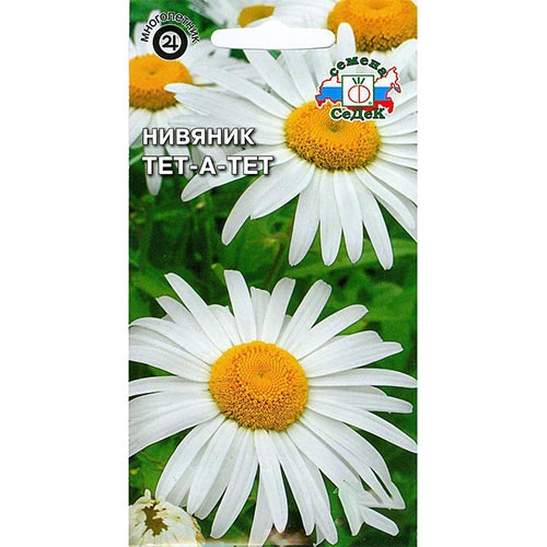 Нивяник Тет-а-тет Седек изображение 1 артикул 93921