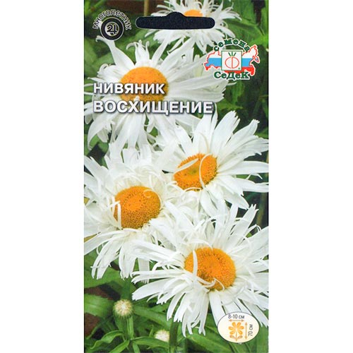 Нивяник Восхищение Седек изображение 1 артикул 93918