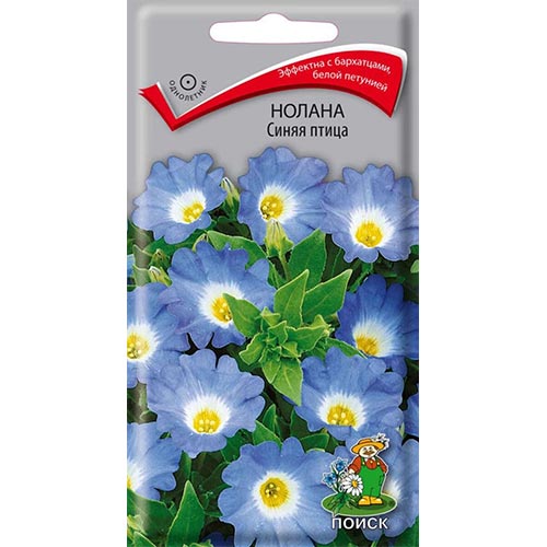 Нолана Синяя птица Поиск изображение 1 артикул 93075