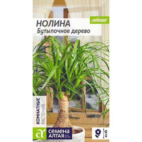 Нолина Бутылочное дерево Семена Алтая изображение 1 артикул 94198