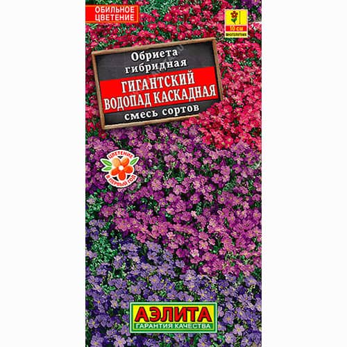 Обриета Гигантский водопад каскадная, смесь окрасок Аэлита изображение 1 артикул 99014