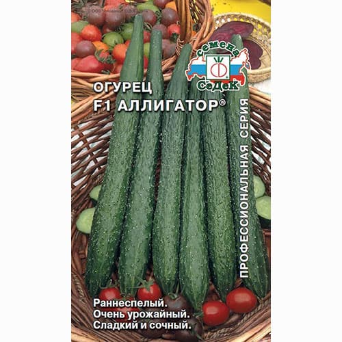 Огурец Аллигатор F1 Седек артикул фото 1 Огурец Аллигатор F1 Седек изображение 1 артикул 71628