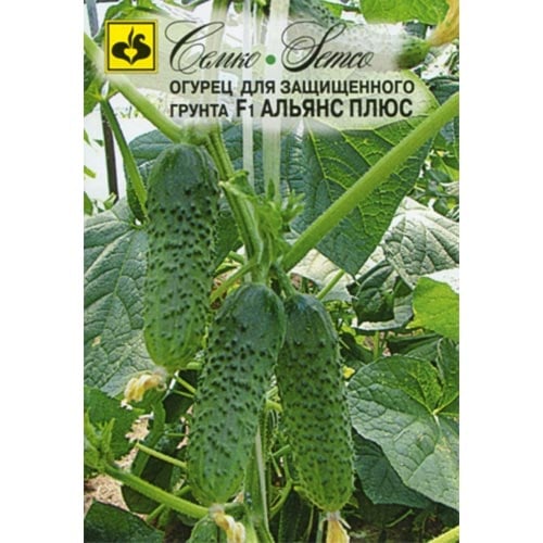 Огурец Альянс плюс F1 Семко изображение 1 артикул 94258