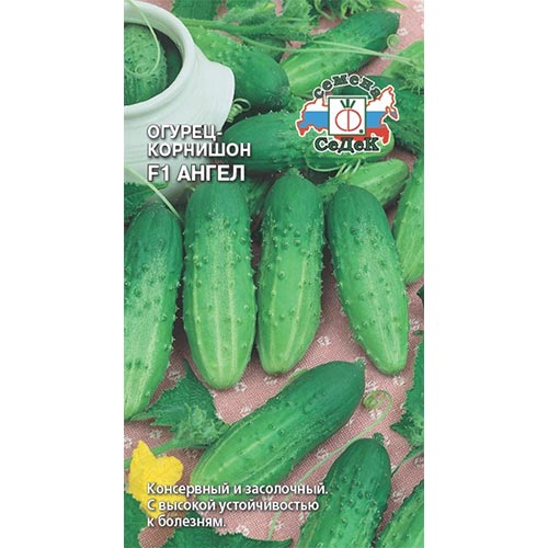 Огурец Ангел F1 Седек изображение 1 артикул 93449
