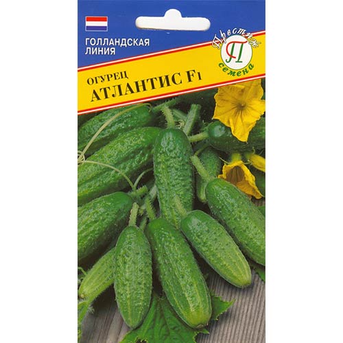 Огурец Атлантис F1 Престиж изображение 1 артикул 84232