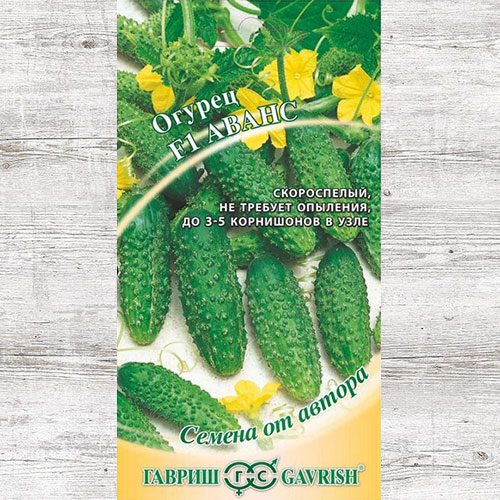 Огурец Аванс F1 Гавриш артикул фото 1 Огурец Аванс F1 Гавриш изображение 1 артикул 82239