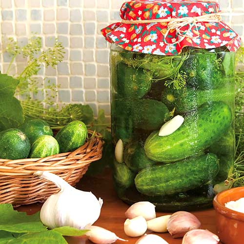 Огурец  Баночный F1, семена изображение 2 артикул 5918