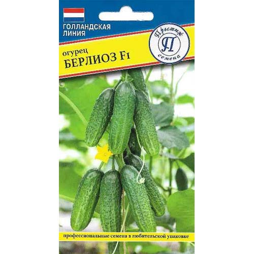 Огурец Берлиоз F1 Престиж артикул фото 1 Огурец Берлиоз F1 Престиж изображение 1 артикул 97930