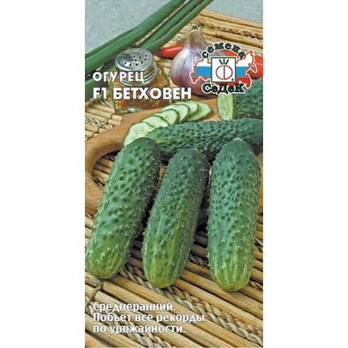 Огурец Бетховен F1 Седек изображение 1 артикул 93453