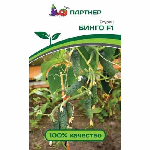 Огурец Бинго F1 Партнер изображение 1 артикул 81023