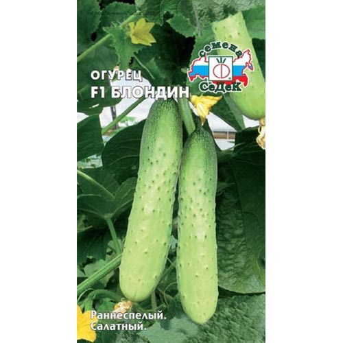 Огурец Блондин F1 Седек изображение 1 артикул 93454