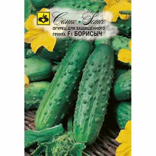 Огурец Борисыч F1 Семко изображение 1 артикул 71923