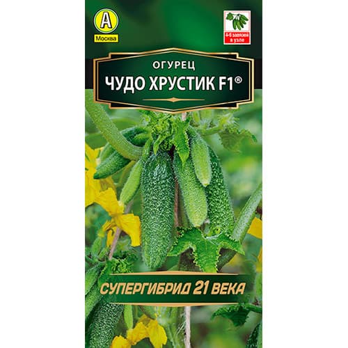 Огурец Чудо хрустик F1 Аэлита изображение 1 артикул 98432