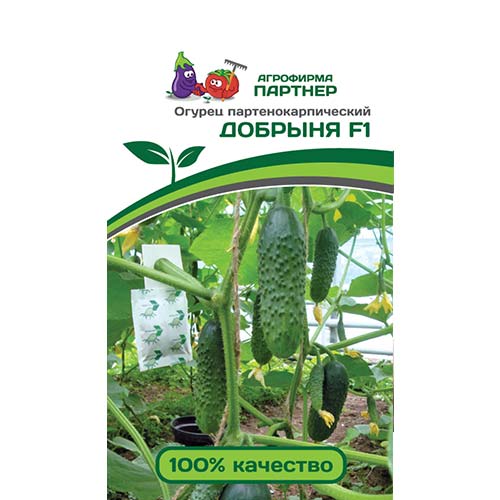 Огурец Добрыня F1 Партнер изображение 1 артикул 71924