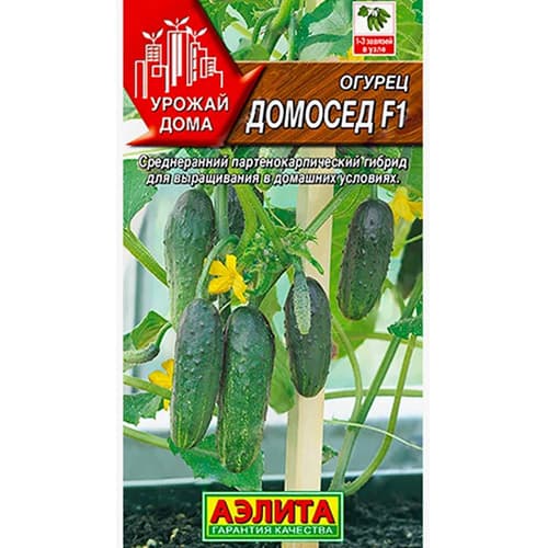Огурец Домосед F1 Аэлита артикул фото 1 Огурец Домосед F1 Аэлита изображение 1 артикул 98396