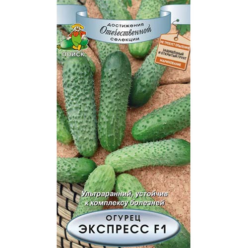 Огурец Экспресс F1 Поиск изображение 1 артикул 81976