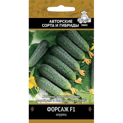 Огурец Форсаж F1 Поиск артикул фото 1 Огурец Форсаж F1 Поиск изображение 1 артикул 81973