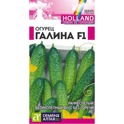 Огурец Галина F1 Семена Алтая изображение 1 артикул 81522