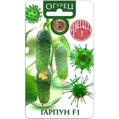 Огурец Гарпун F1 Биотехника изображение 1 артикул 97295