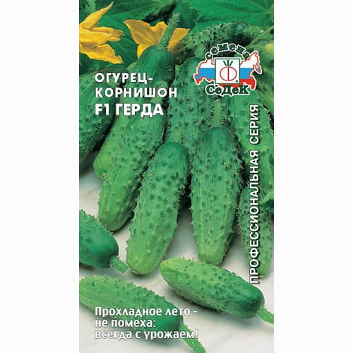 Огурец корнишон Герда F1 Седек изображение 1 артикул 71630
