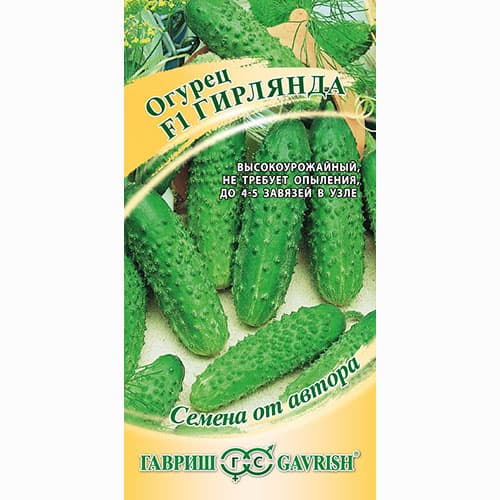 Огурец Гирлянда F1 Гавриш изображение 1 артикул 65279